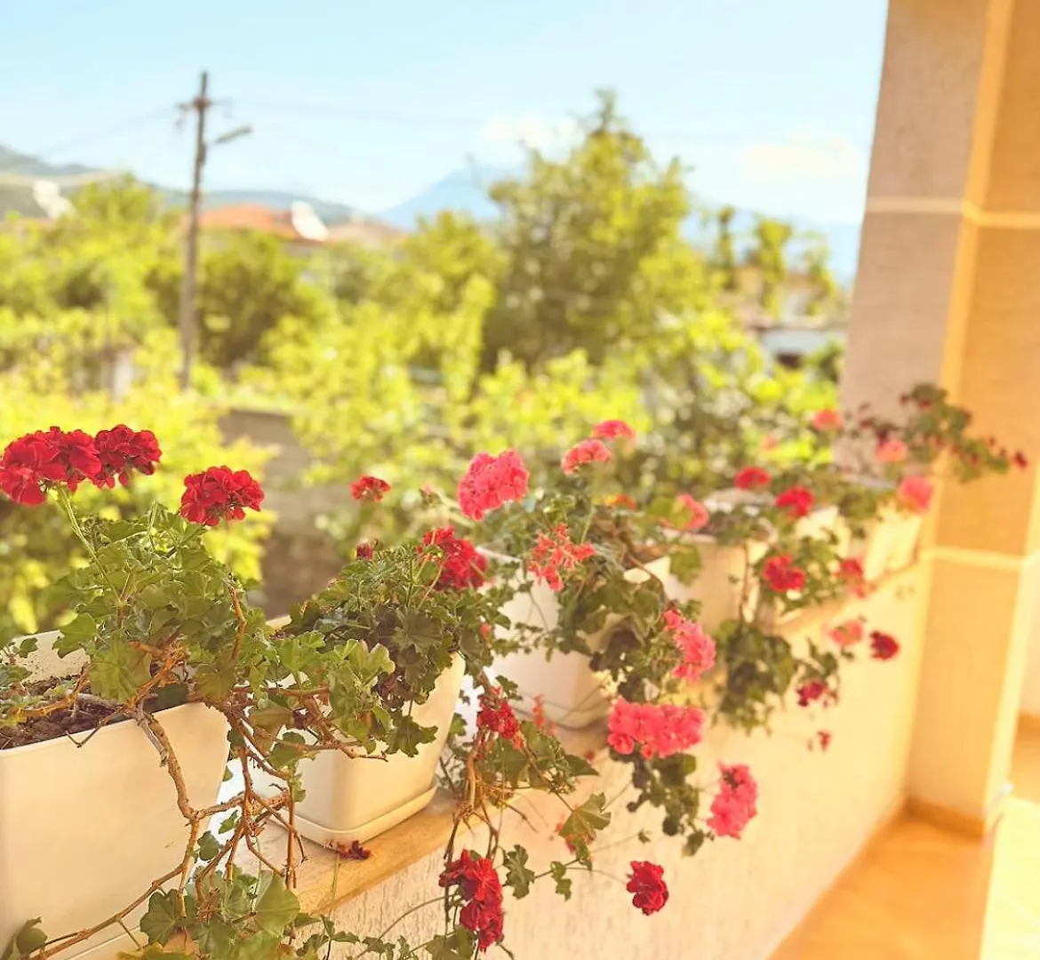 Lejlighed Anel'S Guesthouse Berat